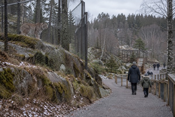 Wildlife Park Entry, Nordens Ark, Gothenburg