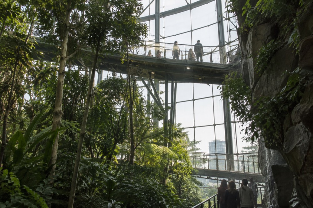 Visitors walking beneath a tall indoor rainforest canopy walkway inside a large glass-fronted science centre building