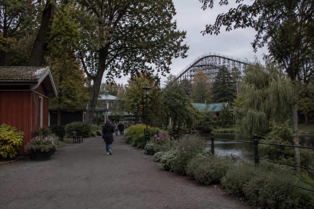 Wooden roller coaster structure seen through trees in an amusement park