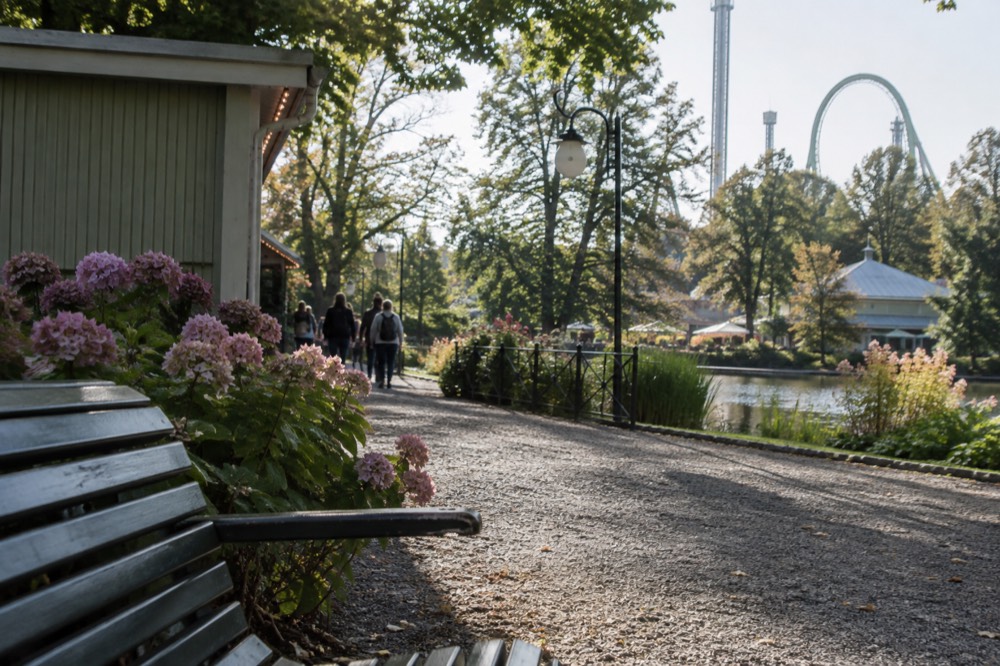 The Liseberg amusement park entrance area with its rides visible above the treeline