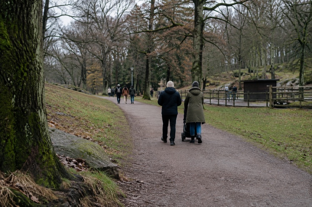 A wide green park path in Slottsskogen with mature trees and people walking in daylight