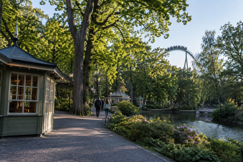 Riders on a roller coaster track curving above the treetops of the Liseberg amusement park
