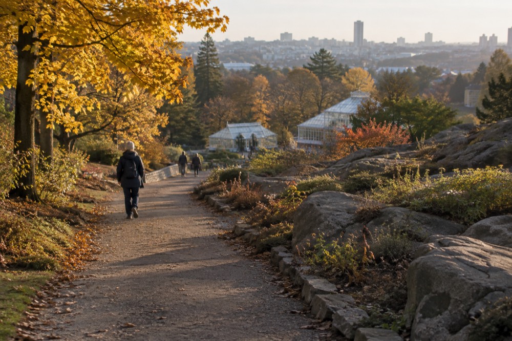 Autumn colour along a garden path with the Gothenburg skyline in the distance