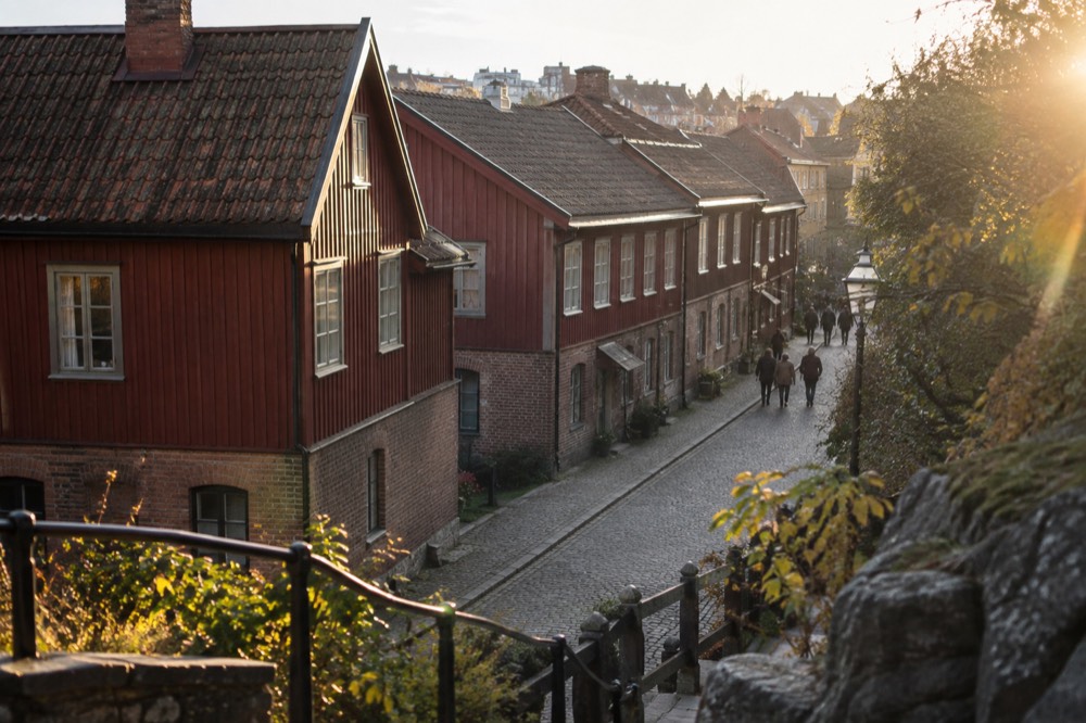 Red wooden houses of the Haga district seen from the hillside path