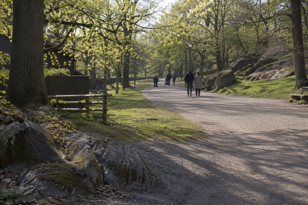 A wide park path in spring with fresh green leaves and people strolling