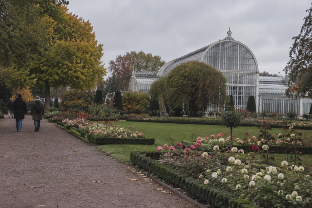 Formal flowerbeds with bright blooms arranged in geometric patterns along a gravel path