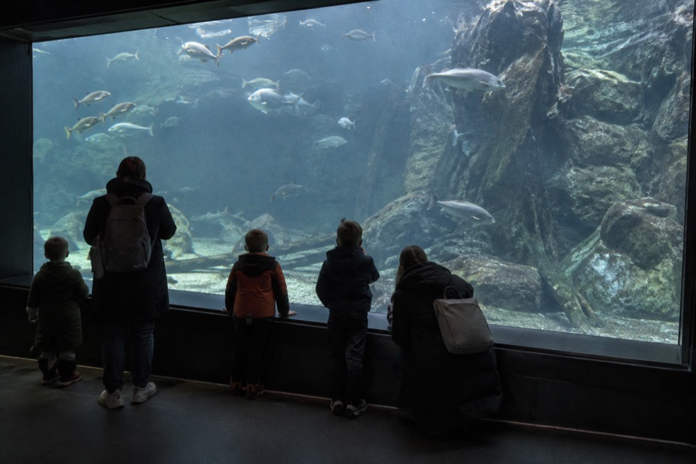 Families with children looking at a large aquarium tank inside a science centre