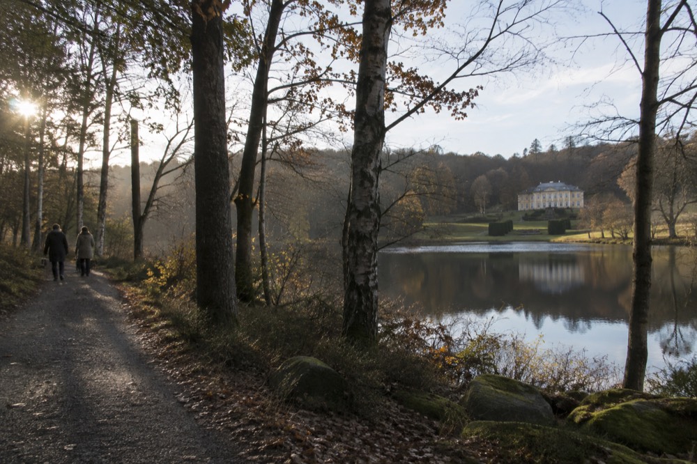 A gravel path through woodland beside a small lake, with birch and pine trees reflected in still water
