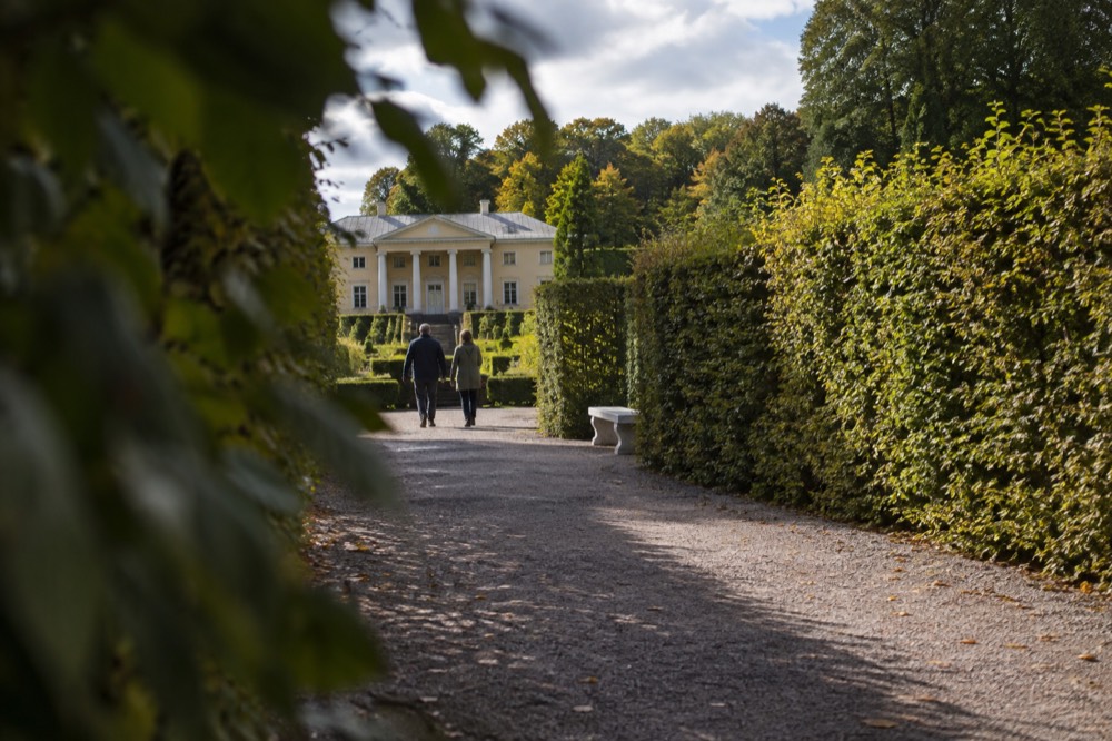 A gravel walkway between tall clipped hedges leading to a white classical building glimpsed through trees