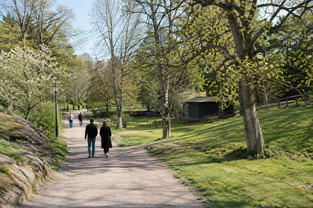 Wide gravel path through Slottsskogen park with trees and open grass