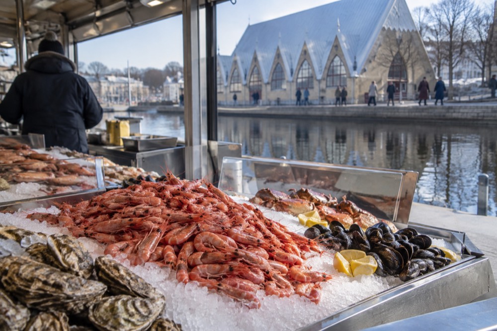 Fresh shrimp and shellfish displayed on ice at a market counter
