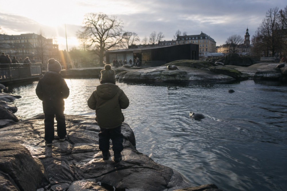 Children watching seals swim in a rocky pool at a Gothenburg park
