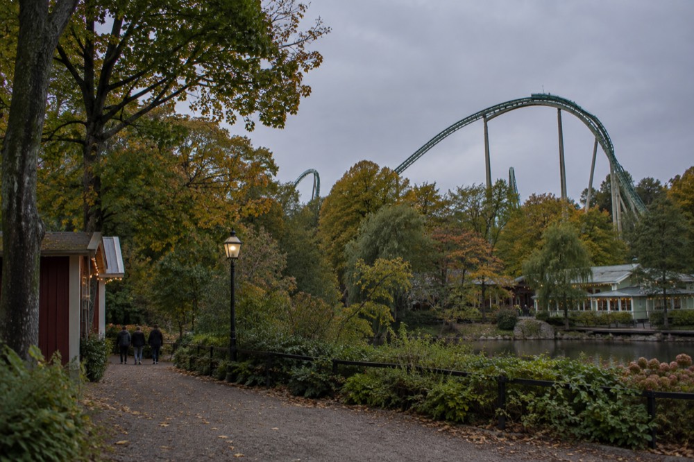 A roller coaster track curving over trees in an amusement park