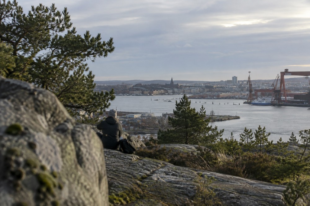 Granite outcrops and pine trees on the walking path up Ramberget on Hisingen