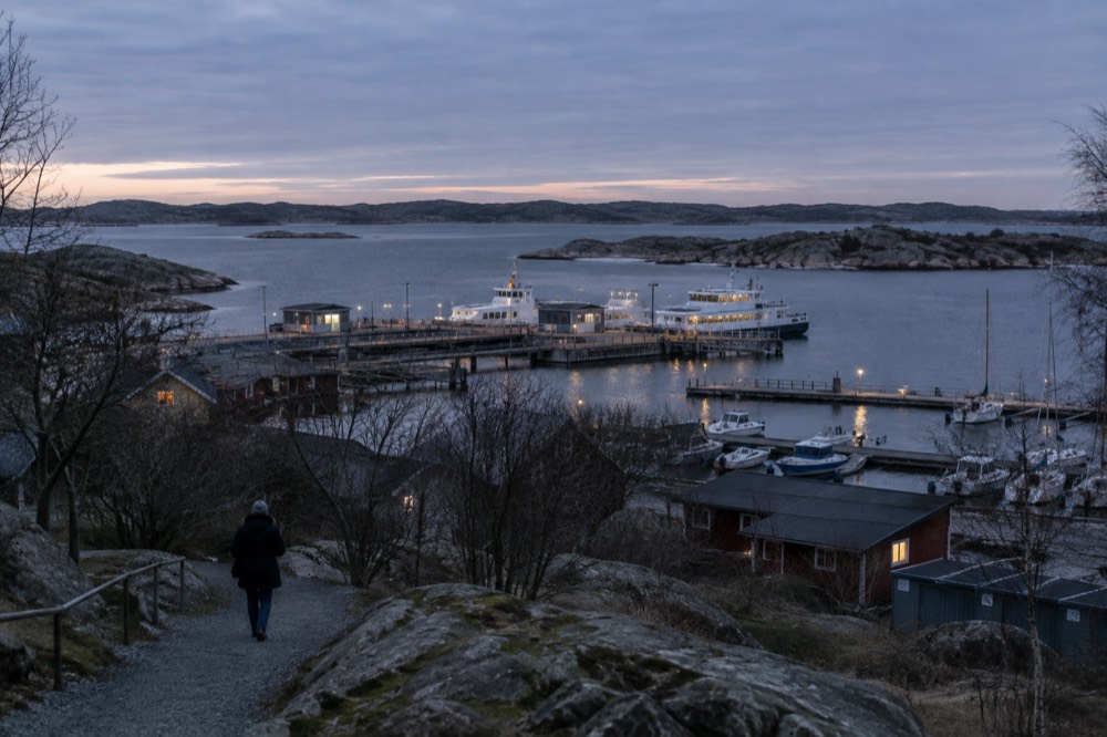 A walker in winter clothing on a gravel path between bare trees on a car-free island